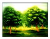 Seasons 43