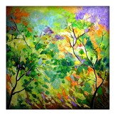 Nature 12