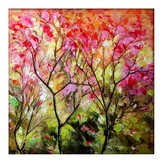 Nature 5